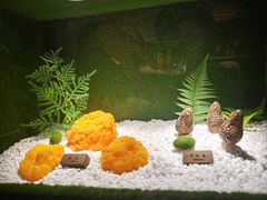 -慢丽江·云南野生菌土鸡锅(西山店)