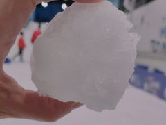 -Mr·Kuma酷么先生雪之乐园