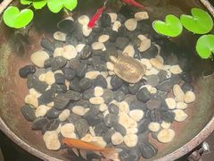 -曲水兰亭(北京四惠店)