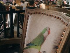 -润青四季音乐主题餐厅·椰子鸡(罗湖店)