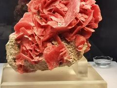 -湖南省地质博物馆