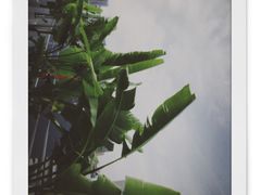 -天空花园餐吧·生日·团建(南山店)