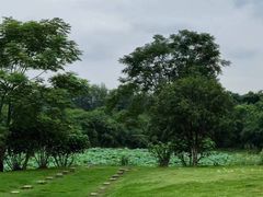 -盘龙城遗址博物院