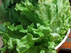 -313羊庄铁锅烀羊肉(望京店)