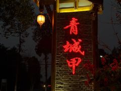 -青城甲(青城山店)