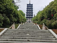 -宜兴龙背山森林公园