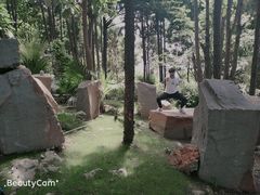 -南诏风情岛