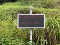 -靖西鹅泉风景区