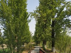 -翠湖国家城市湿地公园