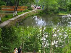 -桤木河湿地公园