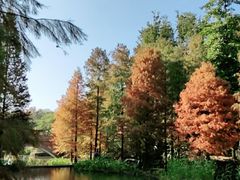 -云溪植物园