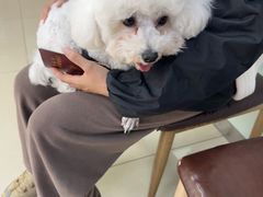 -宠福鑫动物医院(城北分院)