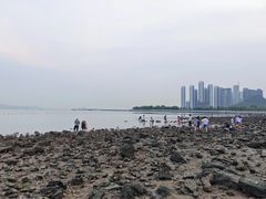 -深圳湾公园(南山区)