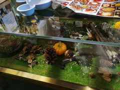 -初拾·花里餐厅(钜城华亿店)