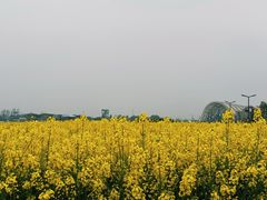 -中国天府农业博览园