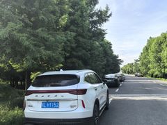 -广富林郊野公园