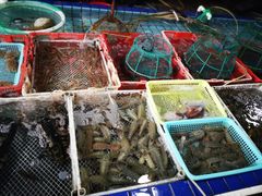 -霞涌市场海鲜摆卖区