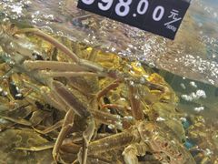 -蟹之国·精品蟹料理(极地店)