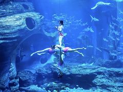 -多彩贵州城极地海洋世界