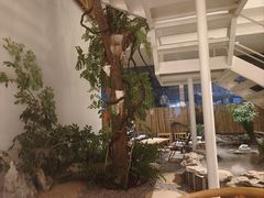 -纳地素食(石门公园店)