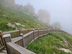 -白草畔自然风景区