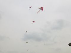 -光明小镇欢乐田园