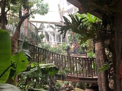 -正佳雨林生态植物园