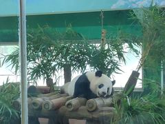 -广州动物园