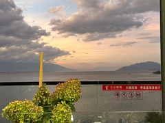-野菌皇海景野生菌火锅(滨海大道店)