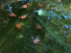 景点-景山公园