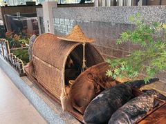 -紫藤园·天目湖大鱼头(南山竹海店)