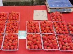 -回龙湾菜市场(雅美苑店)