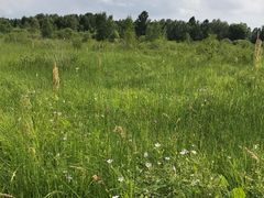 -塞罕坝国家级自然保护区