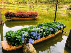 -深圳仙湖植物园