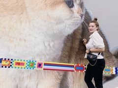 -方浜中路45弄小区