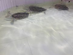 -常州海昌海洋探索馆