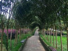 -武汉紫薇都市田园