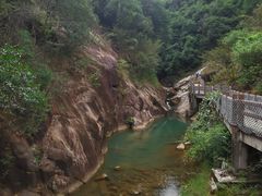 -广州白江湖森林公园