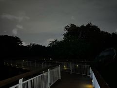-福田红树林生态公园