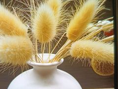 -天禧影院式足道·SPA(梅林店)