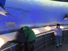 -陕西自然博物馆