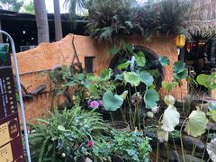 -园林美食城·本土农家菜(杨和镇店)