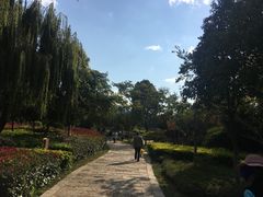 -洛龙公园