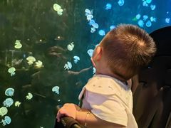 -欢乐海岸海洋奇梦馆