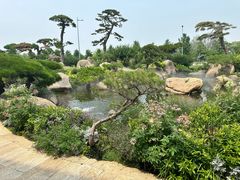 -罗红摄影艺术馆