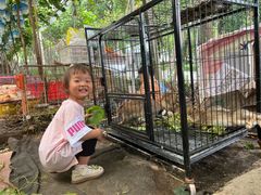 -马陆小张葡萄园农家乐