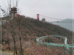 -铜川市金锁关石林
