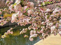 -海棠花溪(元大都城垣遗址公园)