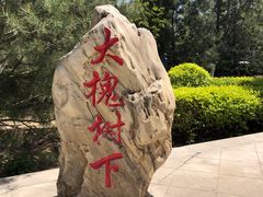 -大槐树寻根祭祖园