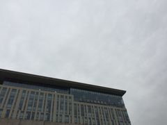 -廊坊固安福朋喜来登酒店